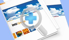 Пример печати папки IMS